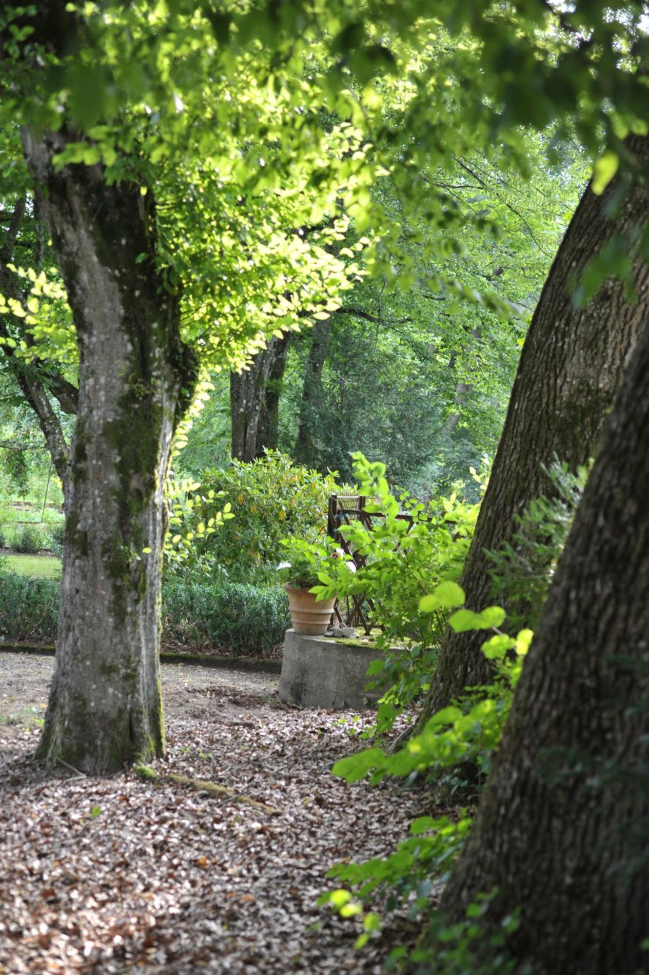 La Maison D'Hotes Du Parc Ronchamp Eksteriør bilde