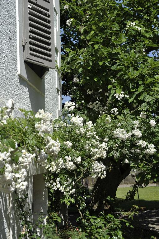 La Maison D'Hotes Du Parc Ronchamp Eksteriør bilde
