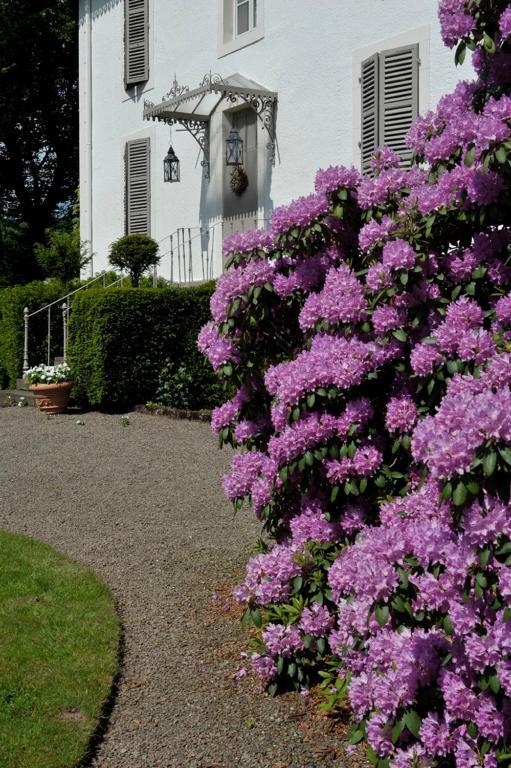 La Maison D'Hotes Du Parc Ronchamp Eksteriør bilde